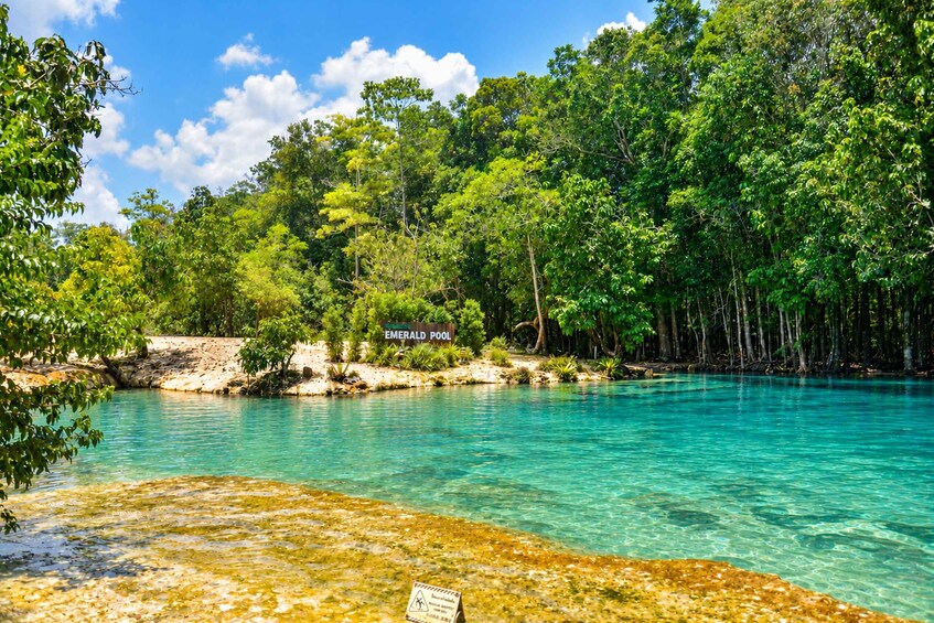 Picture 1 for Activity Krabi Private Escape: Emerald Pool, Hot Springs & Tiger Cave 2