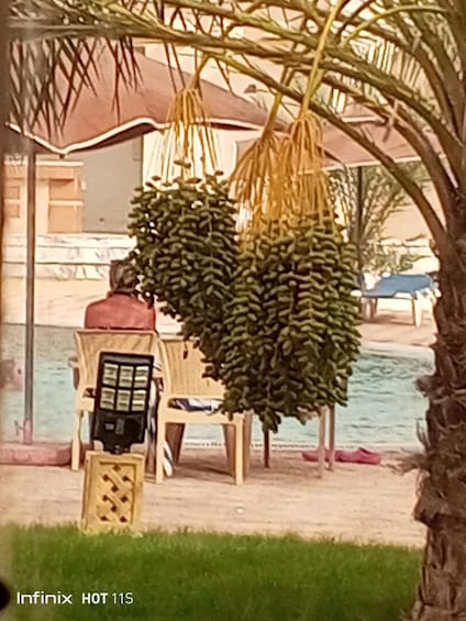 Picture 91 for Activity From Hammamet: 2-Day Sahara Group Tour to Douz 2