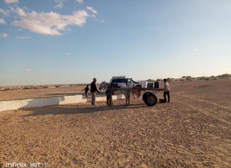 Picture 89 for Activity From Hammamet: 2-Day Sahara Group Tour to Douz 2