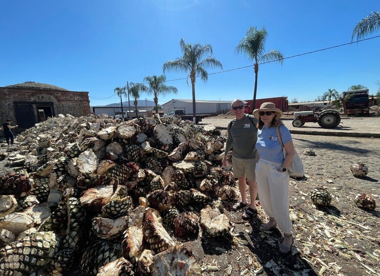 A large pile of coconuts, a building, palm trees, and a tractor in a rural setting. 3