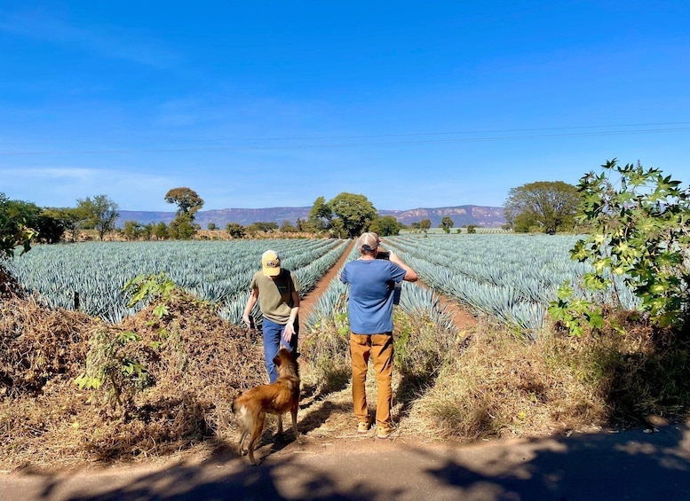 Fully-Private Half-Day Tequila Tour 1
