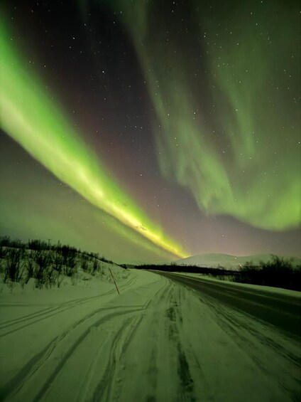 A snowy landscape with a road leading towards a hill, under a night sky with the aurora borealis. 3