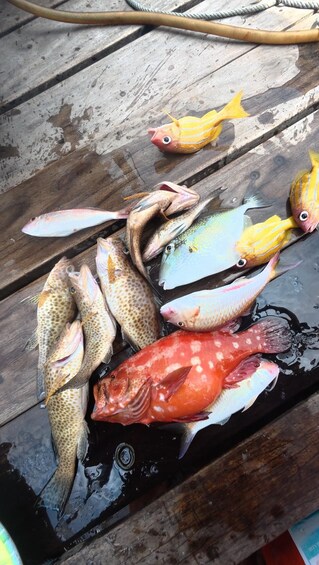 Picture 42 for Activity Koh Lipe: 3 Island Snorkeling & Fishing Tour 2