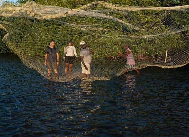 People standing in a net over water, with vegetation in the background. 1