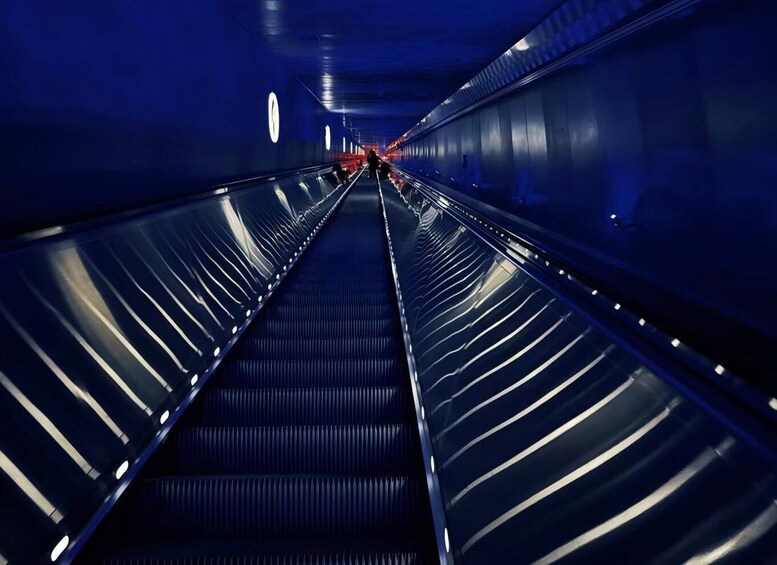Picture 5 for Activity Chongqing: White Crane Ridge & 816 Underground Tour 5