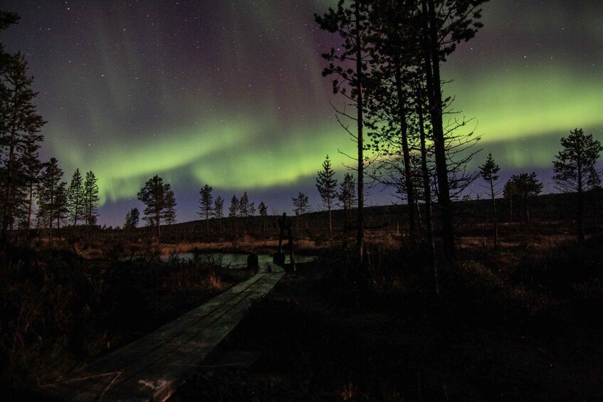 A night scene with the Northern Lights over a forest and a wooden bridge. 4