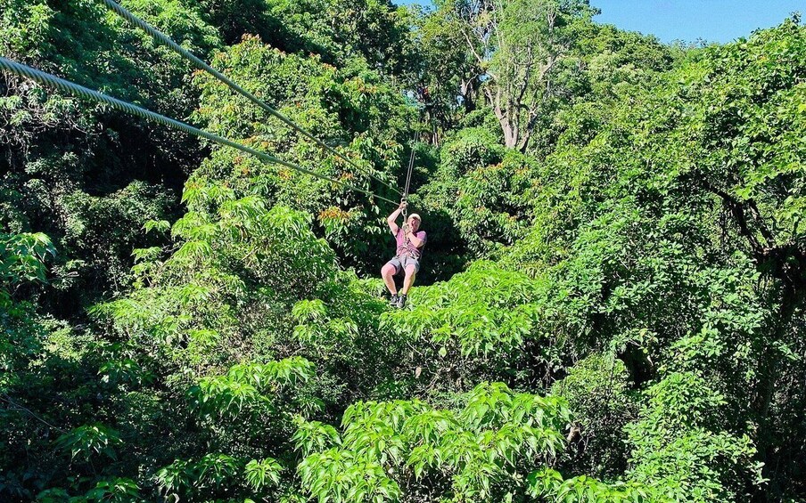 A person zip-lining through a dense forest. 4