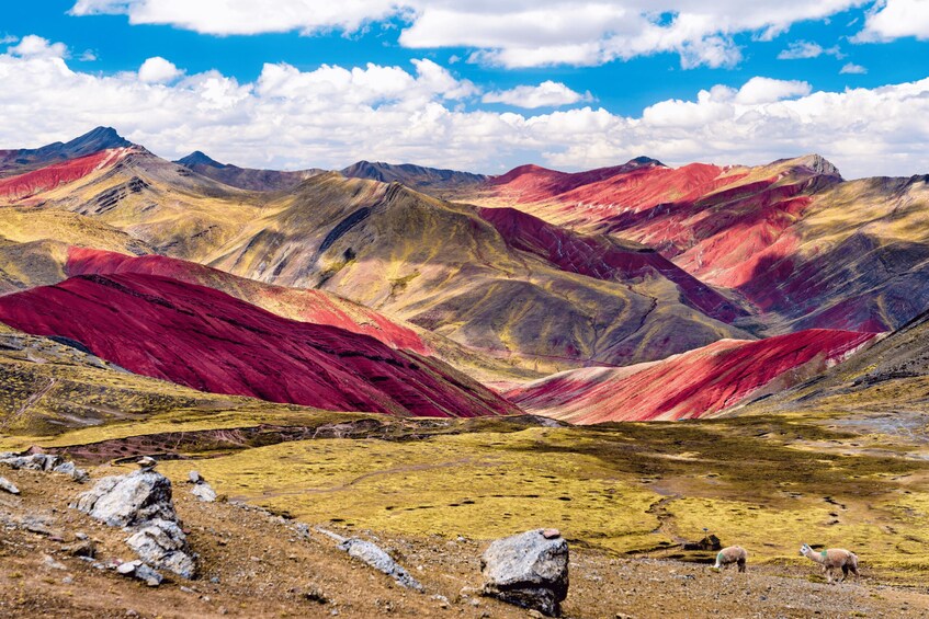 Picture 2 for Activity Palccoyo Rainbow Mountain Tour 2