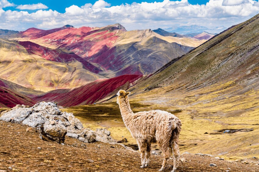 Palccoyo Rainbow Mountain Tour 1