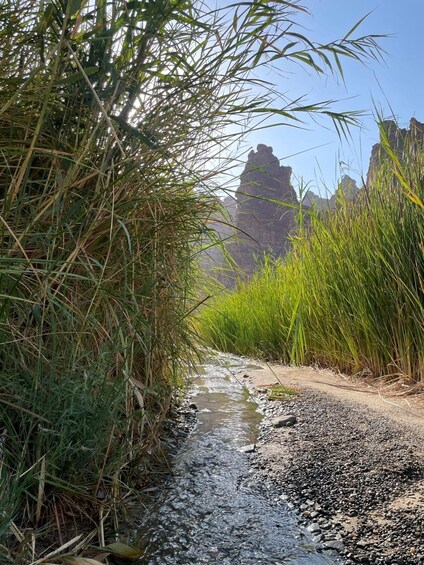 A narrow stream bordered by tall grasses and rocky terrain. 5
