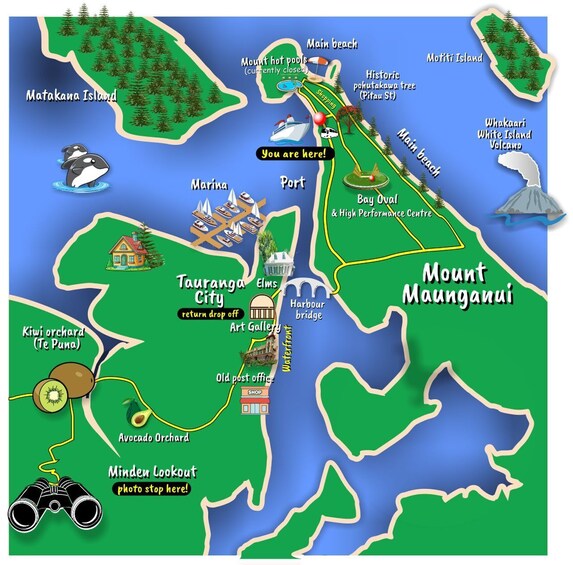 Picture 1 for Activity Tauranga City & Scenic Sightseeing 2-hour Local Tour 2