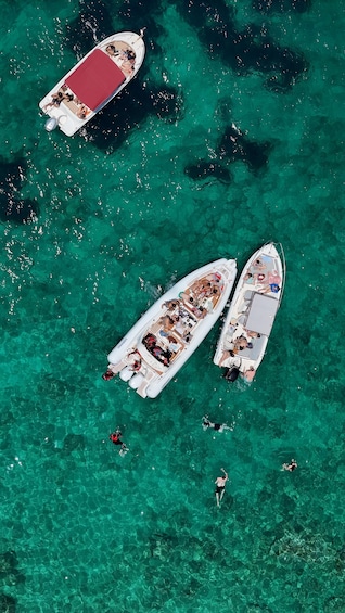 Picture 36 for Activity Sarandë: Ionian Coast Hidden Beaches and Caves Boat Tour 2