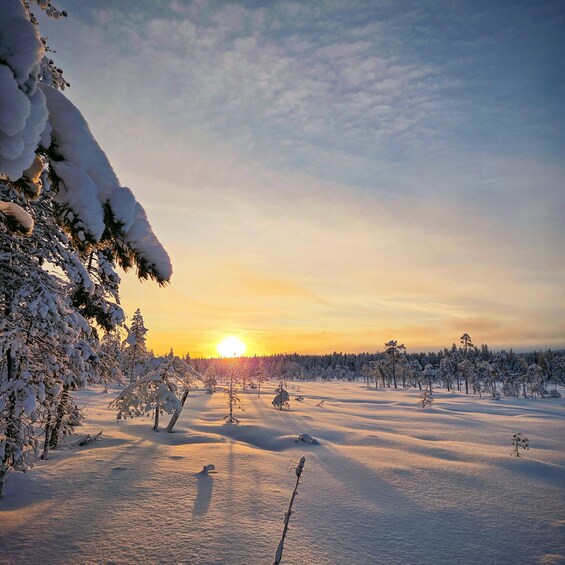 A snowy landscape with a sunset, trees, and a clear sky. 3