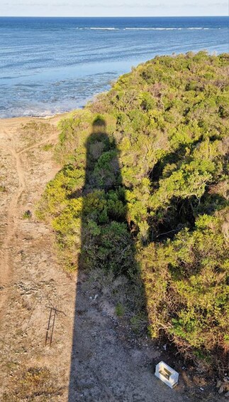 Picture 3 for Activity Mafia Island: Northern Lighthouse & Hippo Safari Tour 5
