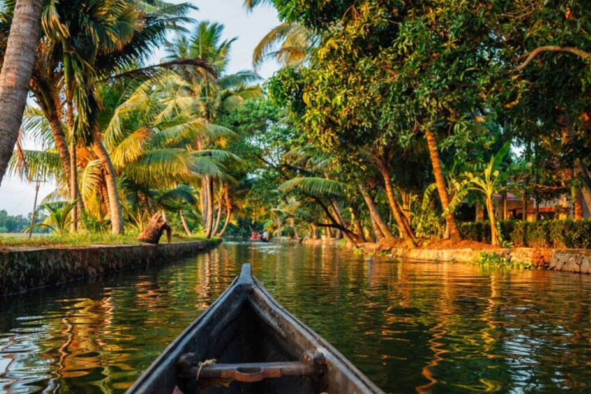 A narrow waterway flanked by lush palm trees and dense foliage. 1