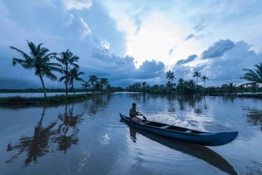 A person paddling a canoe on a calm river surrounded by palm trees. 3