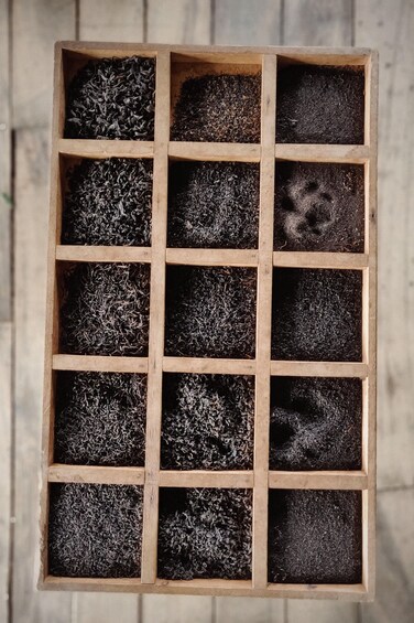 A wooden box with multiple compartments filled with soil. 4