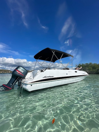 Picture 7 for Activity La Parguera: Half day Private Boat tour 4 hours 2