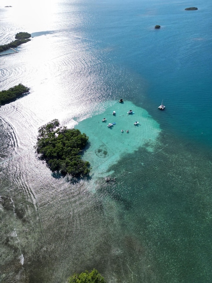 Picture 3 for Activity La Parguera: Half day Private Boat tour 4 hours 4