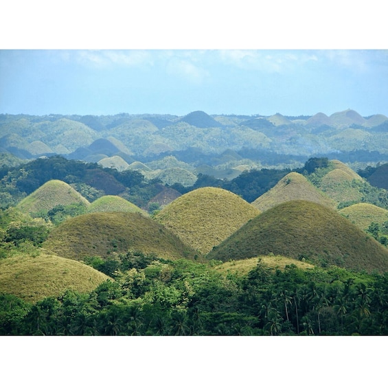 Picture 1 for Activity Bohol: Choco Tour + Rio Verde Lunch Buffet 2
