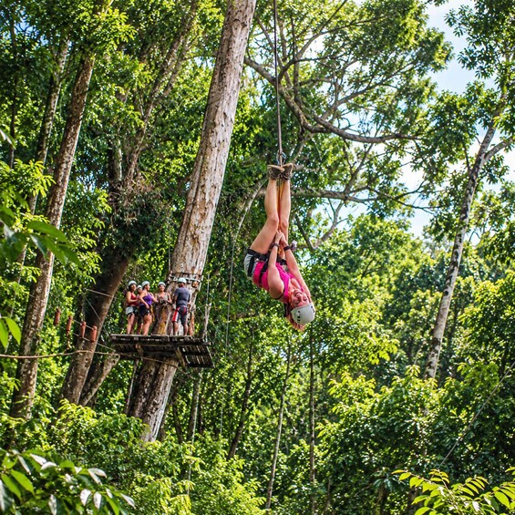 Picture 26 for Activity Puerto Vallarta: Snorkel With Tropical Fishes & Canopy Tour 5
