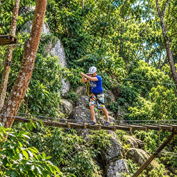 Picture 25 for Activity Puerto Vallarta: Snorkel With Tropical Fishes & Canopy Tour 2