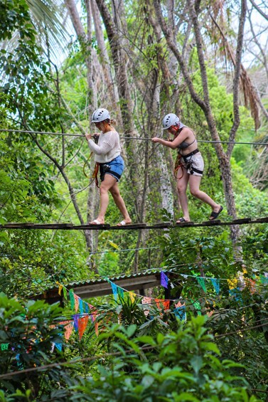 Picture 18 for Activity Puerto Vallarta: Snorkel With Tropical Fishes & Canopy Tour 4