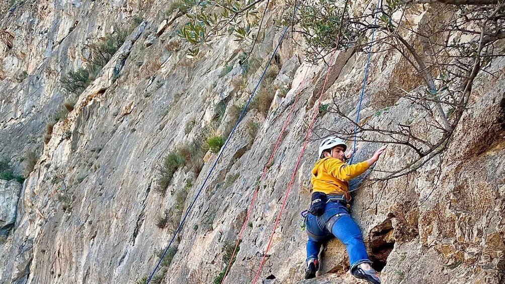 A person climbing a rocky cliff with safety ropes. 2