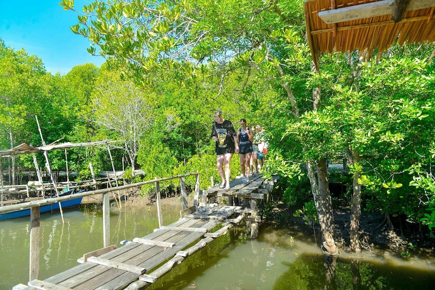 Picture 21 for Activity From Ko Lanta: Half Day Sea Cave Kayaking Small Group 3