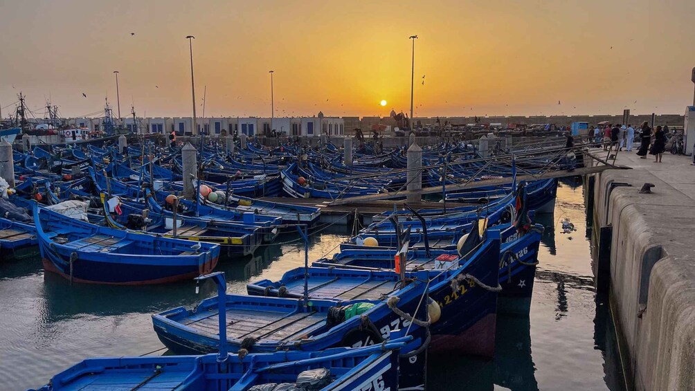 Picture 8 for Activity Explore Essaouira's Secrets: A Guided Tour with a Local! 3