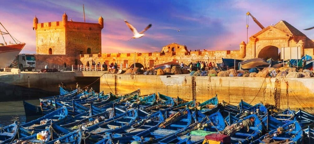 Picture 3 for Activity Explore Essaouira's Secrets: A Guided Tour with a Local! 2