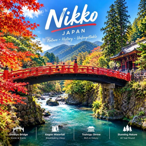 Tokyo: Nikko Unesco World Heritage Private Tour Customizable 1
