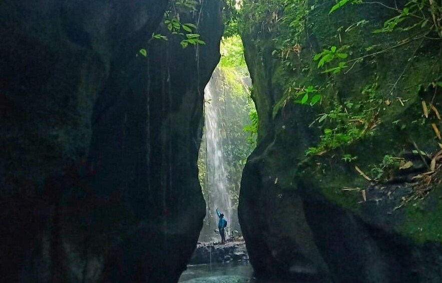 A waterfall in a narrow canyon with dense foliage on either side. 4