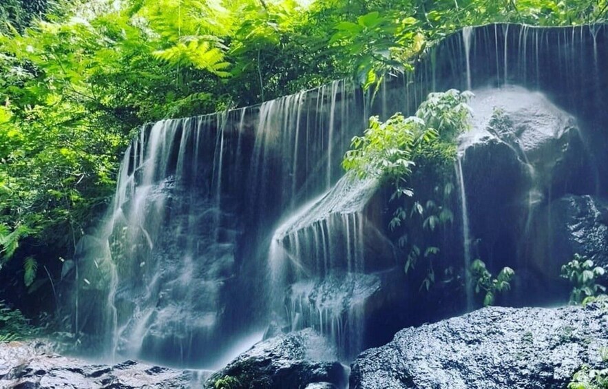 A waterfall surrounded by lush green foliage. 3