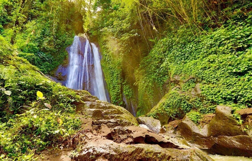 A waterfall surrounded by lush greenery and rocks. 1