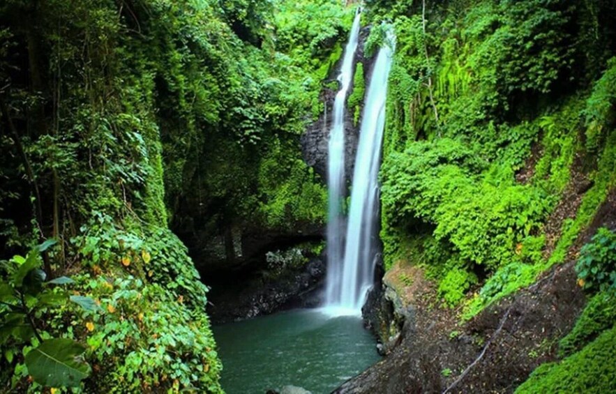 A lush green forest with a waterfall cascading into a pool. 5