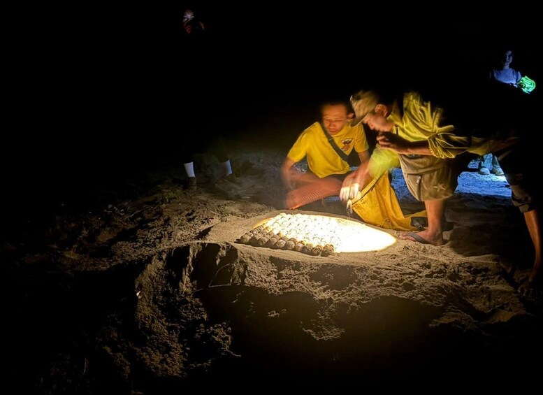 Picture 8 for Activity Sukamade Beach Turtle Conservation 2-Day Tour 4
