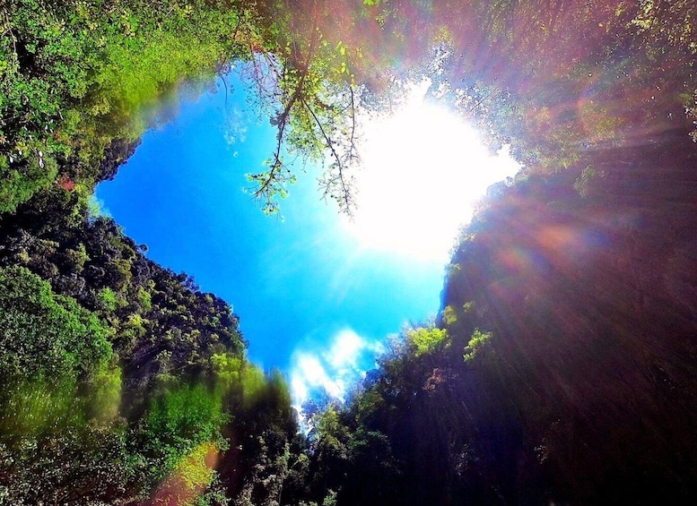 A forested landscape with a clear blue sky and sunlight filtering through the trees. 2