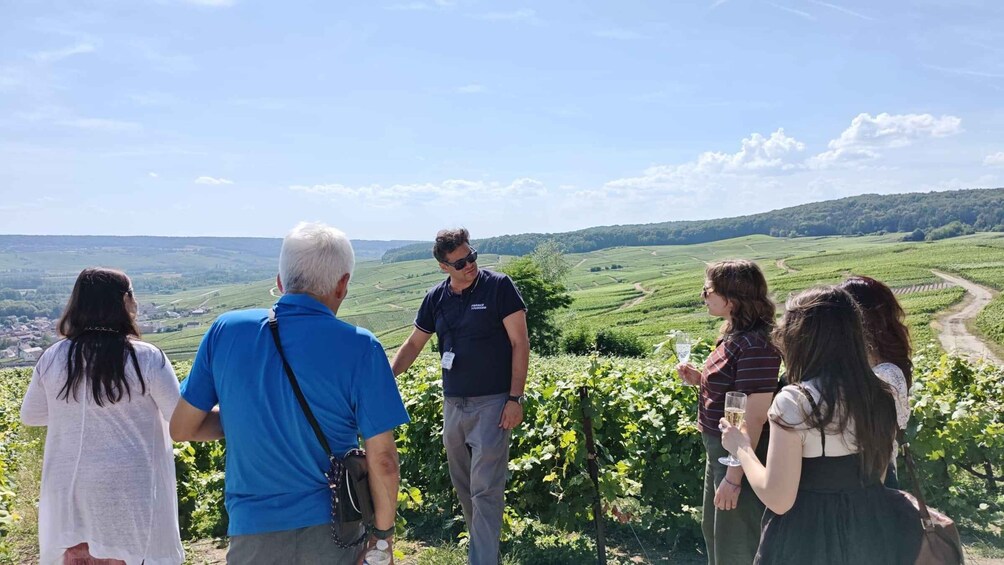 Picture 14 for Activity Champagne Day Trip from Paris: Reims, Cellars & 4 Tastings 2