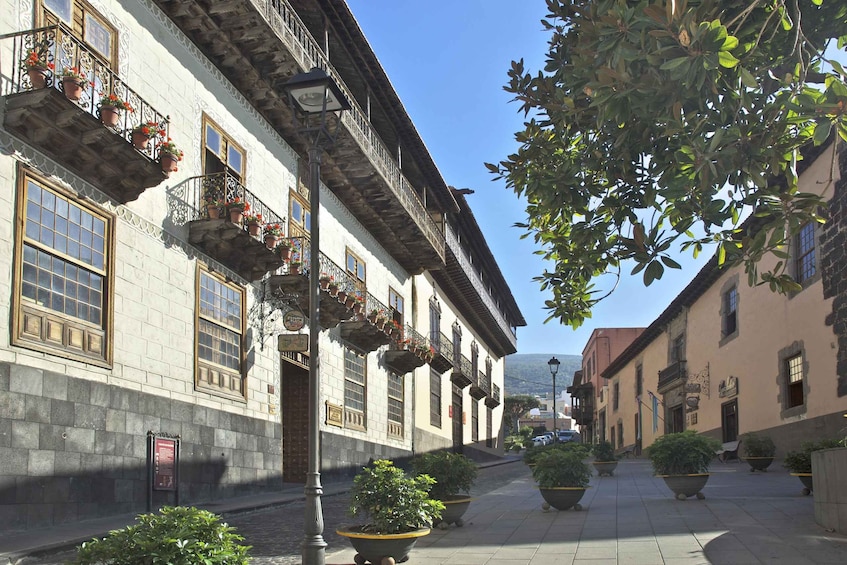 Picture 1 for Activity La Orotava:Casa de los Balcones & Molino del Hoyo Gofio Mill 5