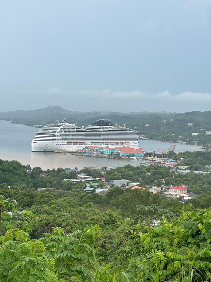 A large cruise ship docked at a port with a backdrop of hills and a clear sky. 5