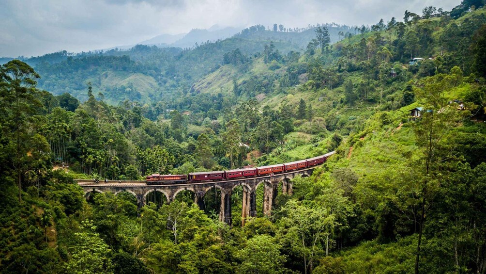 A train traveling over a bridge in a lush, green mountainous area. 4