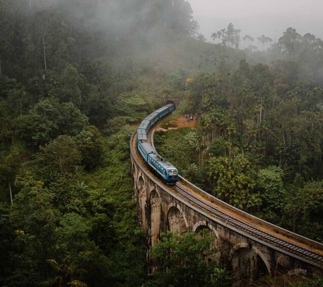 A train on a bridge through a dense forest. 1