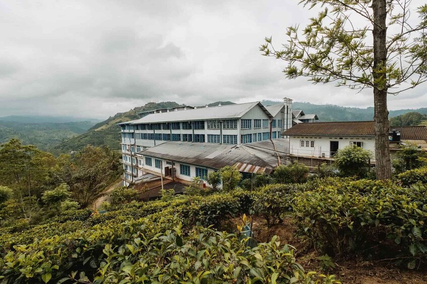 A large building with multiple windows and a sloped roof, surrounded by lush greenery and hills in the background. 3