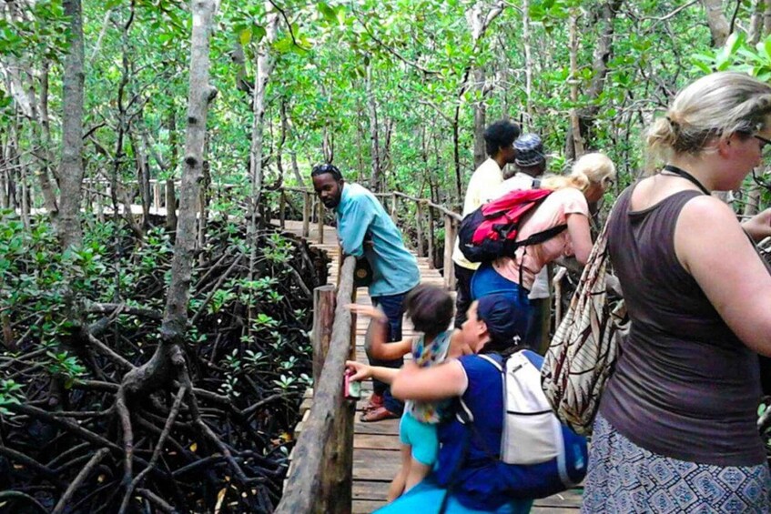 A group of people walking on a wooden bridge in a mangrove forest. 2