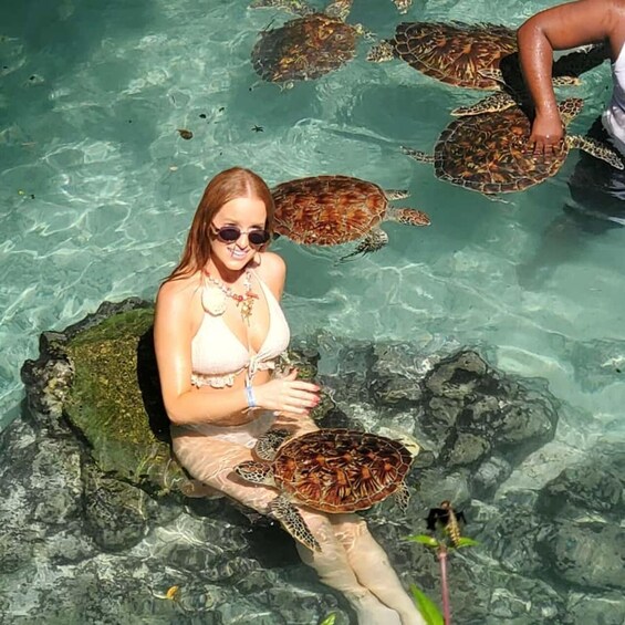 A person sitting on a rock with a sea turtle. 1