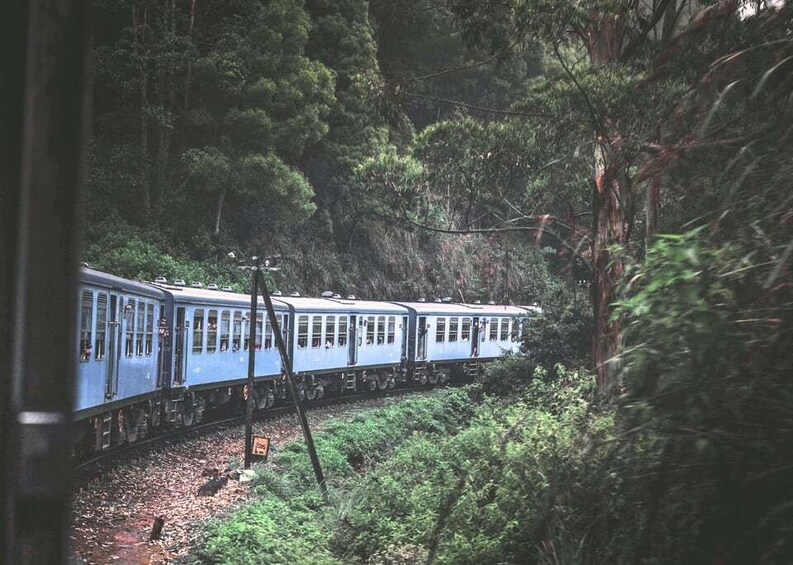 A blue train traveling through a forested area. 5