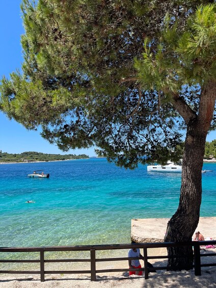 A beach with clear turquoise water, a tree, and boats in the distance. 2