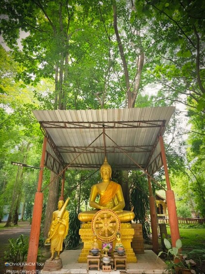 A golden Buddha statue under a shelter, surrounded by trees. 3