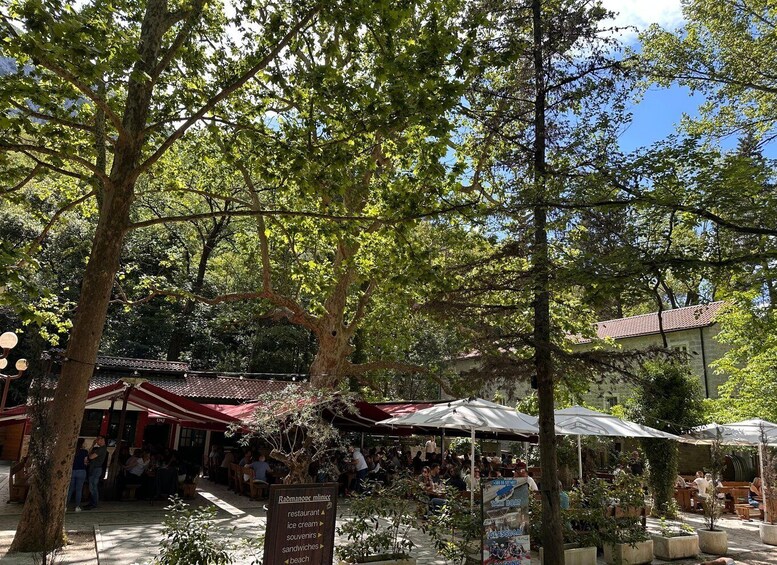 A sunny outdoor market with trees, umbrellas, and people. 2